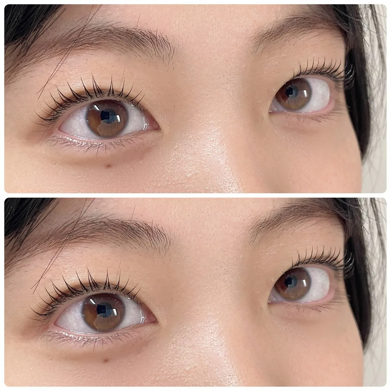 フラットラッシュ140本